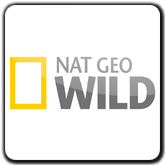 Nat GeoWild